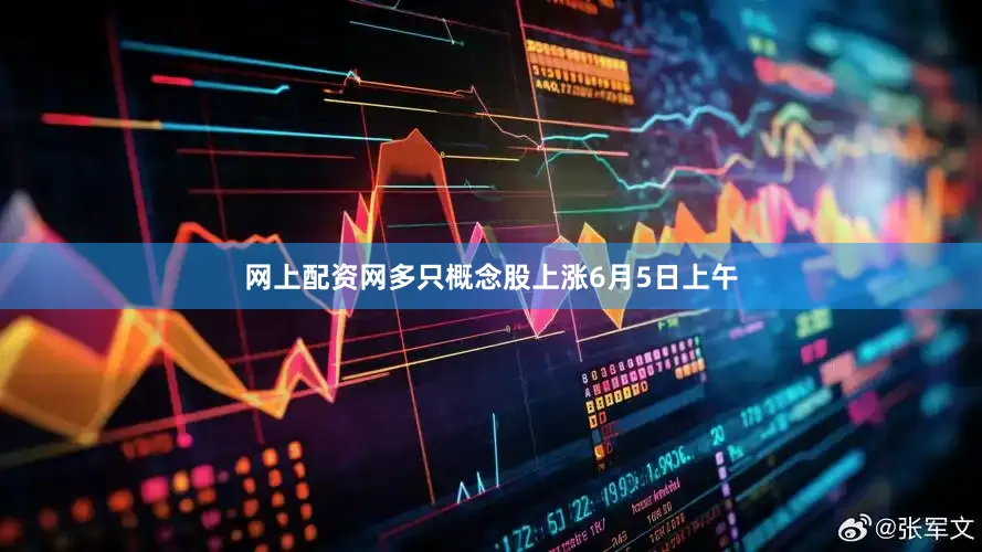 网上配资网　　多只概念股上涨　　6月5日上午