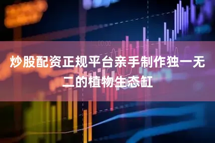 炒股配资正规平台亲手制作独一无二的植物生态缸