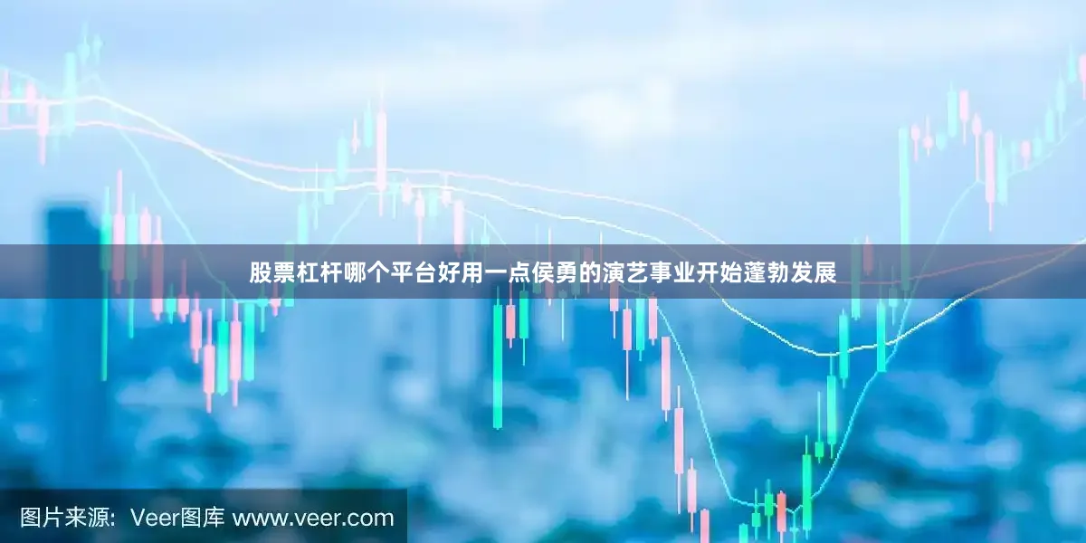 股票杠杆哪个平台好用一点侯勇的演艺事业开始蓬勃发展